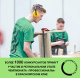 Региональный этап чемпионата «Профессионалы»