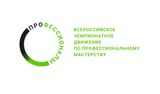 Межрегиональный этап чемпионата "Профессионалы"